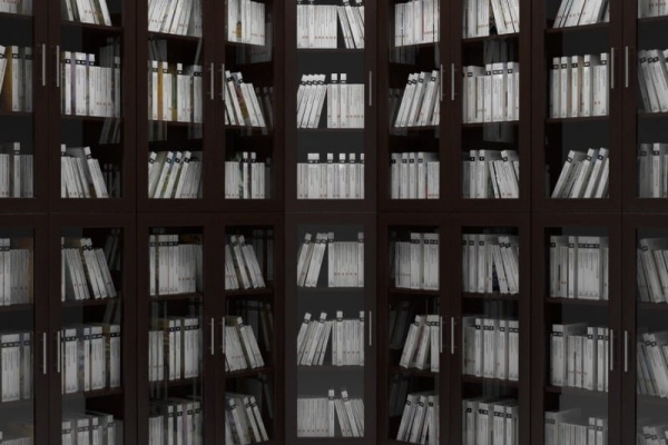 Книжный шкаф Мебелайн-17