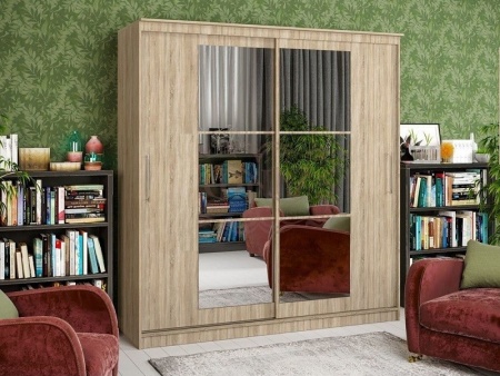 Шкаф-Купе Элвис-3 (Ш-1500/1700/2000 × В-2200 х Г-650 мм)/Разные Цвета