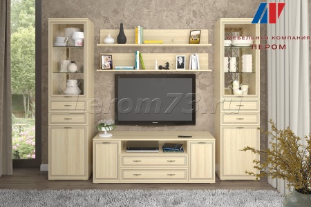 Гостиная-Стенка Карина-13 (В-2224 х Ш-2880 х Г-448)