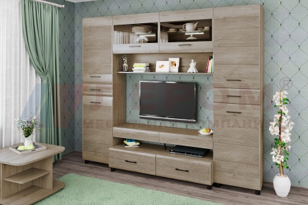 Гостиная-Стенка Камелия №10 (В-2172 х Ш-2520 х Г-452 мм)