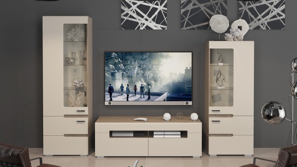 Гостиная «Фьюжн №2»/Разные Цвета/Ш-2558 x В-1842 x Г-412 мм